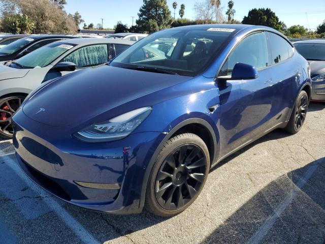 2022 TESLA MODEL Y  2022 image