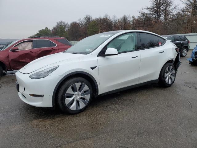 2023 TESLA MODEL Y  2023 image