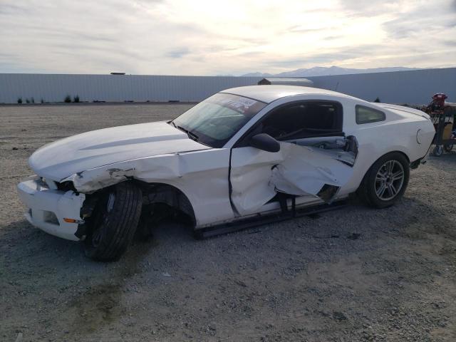 Obraz 2010 FORD MUSTANG  2010
