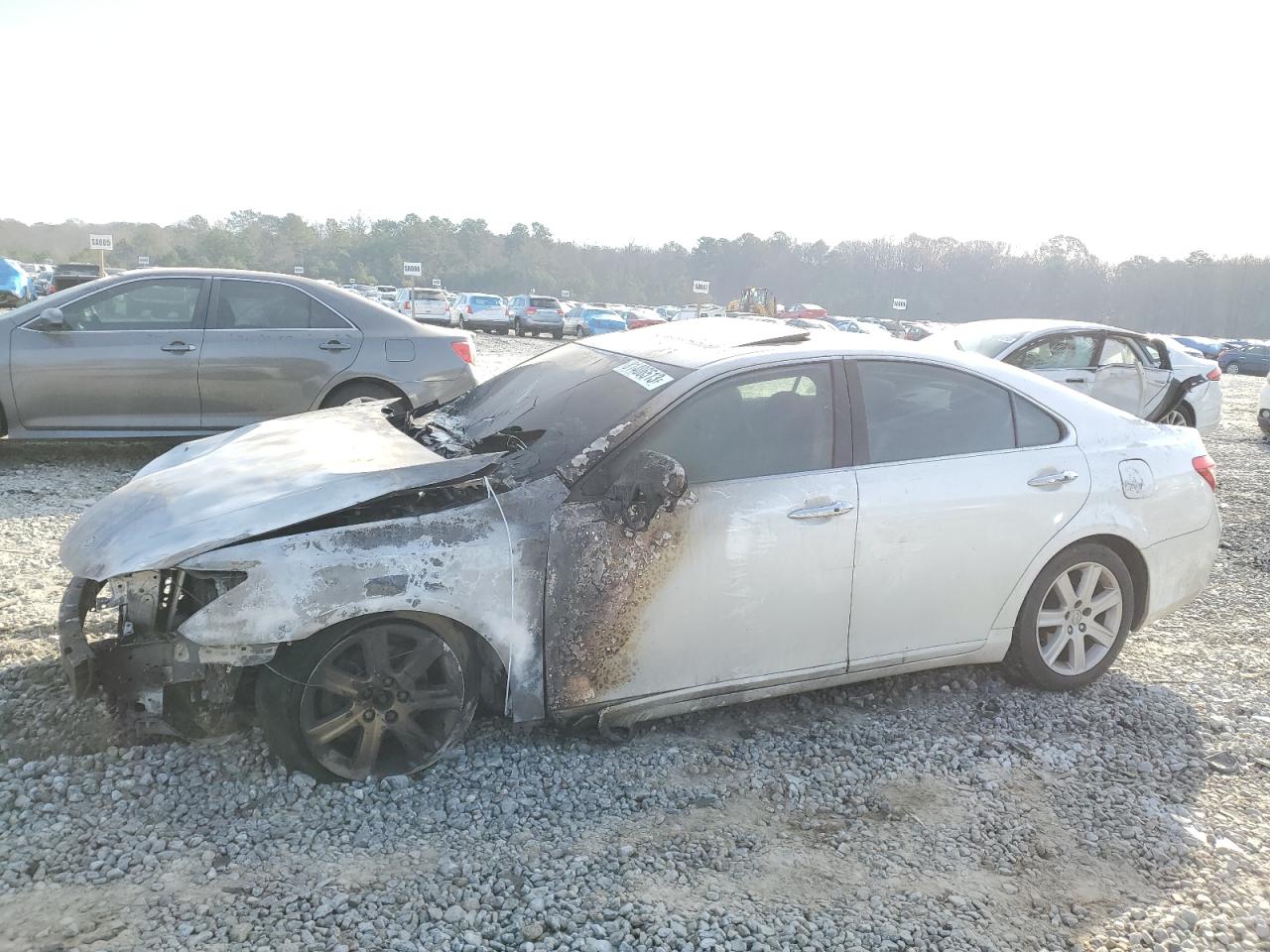 2007 LEXUS ES 350 2007 image