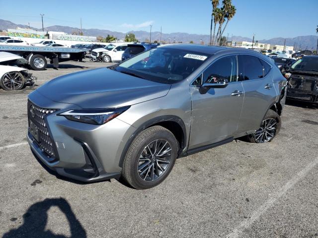 2023 LEXUS NX 350H 2023 image