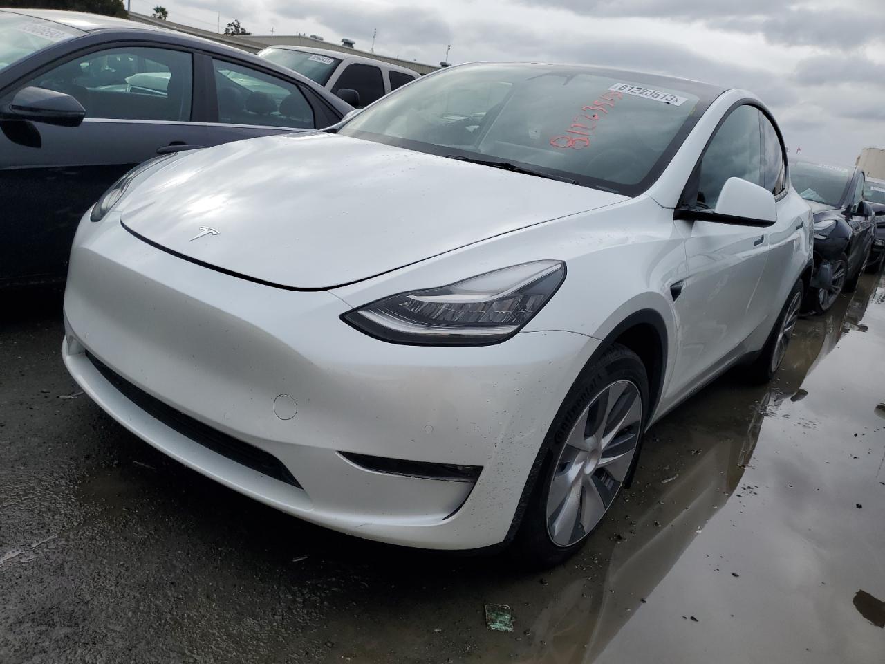 2022 TESLA MODEL Y  2022 image