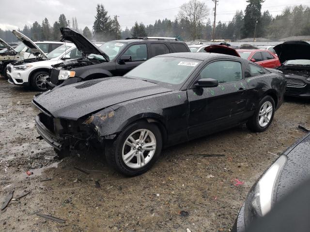 Image 1 of 2013 FORD MUSTANG  2013 with VIN 1ZVBP8AM7D5227230