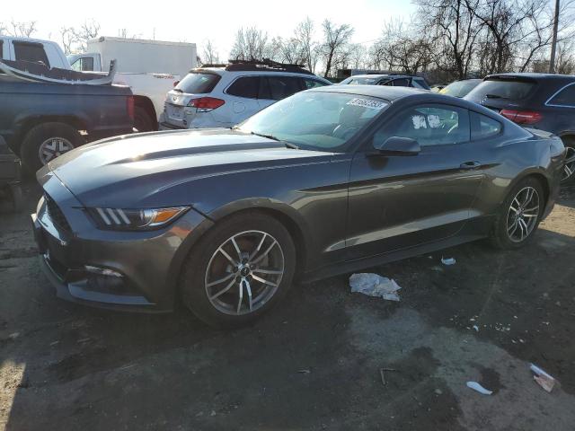 2017 FORD MUSTANG  2017 image