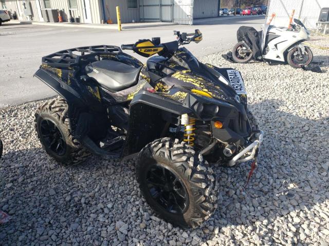 Изображение 1 2009 CAN RENEGADE 2009 с VIN 3JBHXLH138J001069