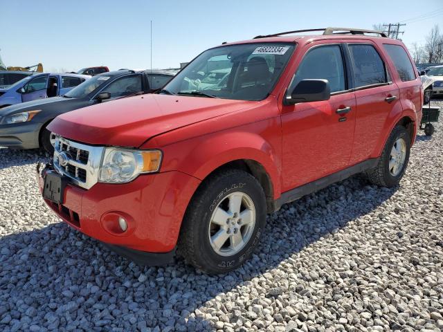 Obraz 2009 FORD ESCAPE XLT 2009