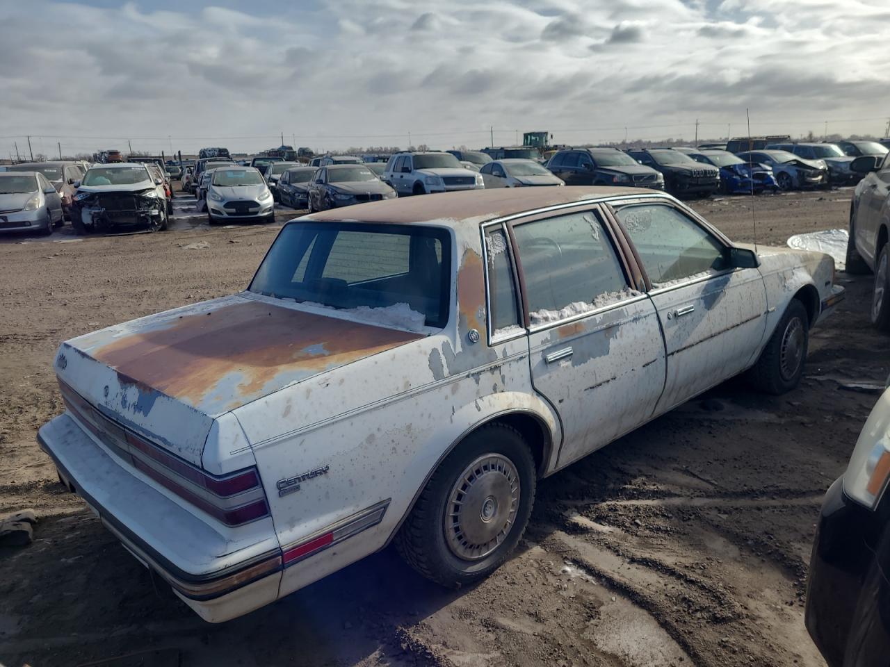 Image 3 of 1988 BUICK CENTURY CUSTOM 1988 with VIN 1G4AH5132J6440721