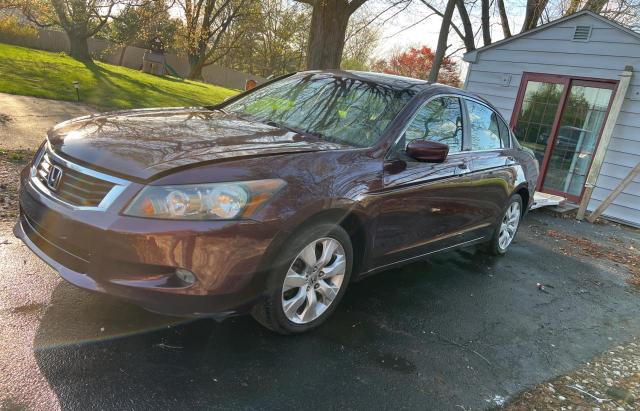 Изображение 2 2010 HONDA ACCORD EXL 2010 с VIN 5KBCP3F8XAB011826