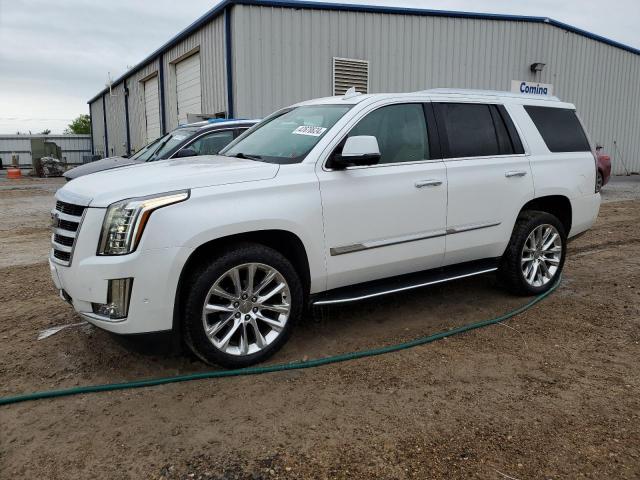Obraz 2019 CADILLAC ESCALADE LUXURY 2019