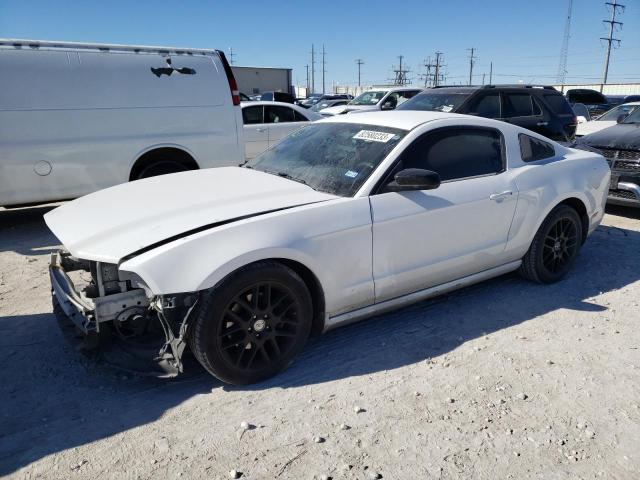 2014 FORD MUSTANG  2014 image