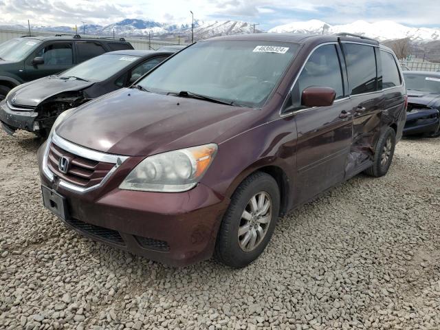 2009 HONDA ODYSSEY EXL 2009 image