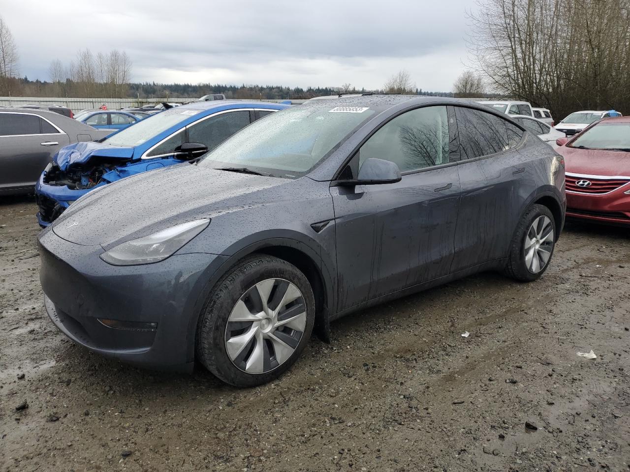 2023 TESLA MODEL Y  2023 image