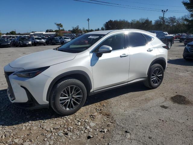 Image 1 of 2022 LEXUS NX 250 2022 with VIN JTJADCEZ7N5000392