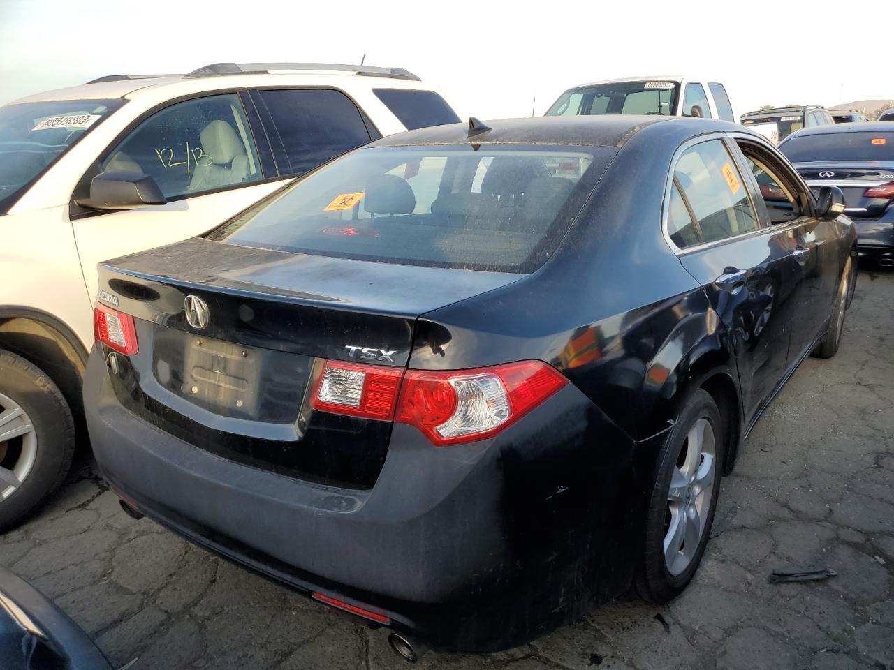 Image 3 of 2009 ACURA TSX  2009 with VIN JH4CU26609C032854