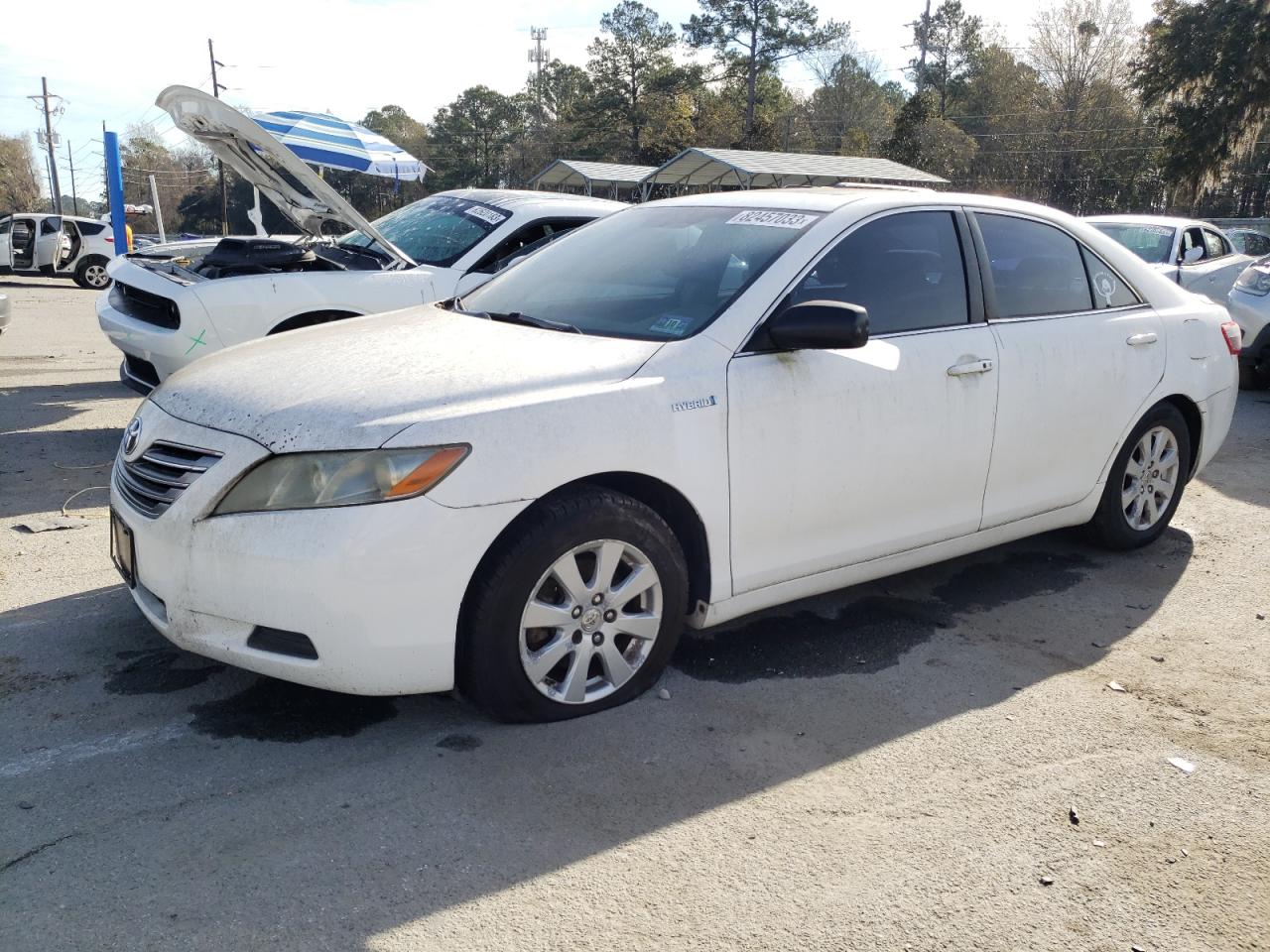 2008 TOYOTA CAMRY HYBRID 2008 image