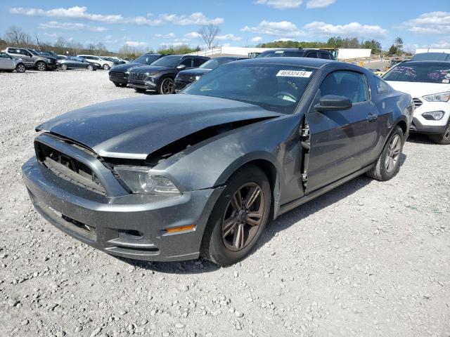 2014 FORD MUSTANG  2014 image