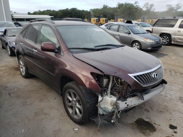 2008 LEXUS RX 350 2008 image