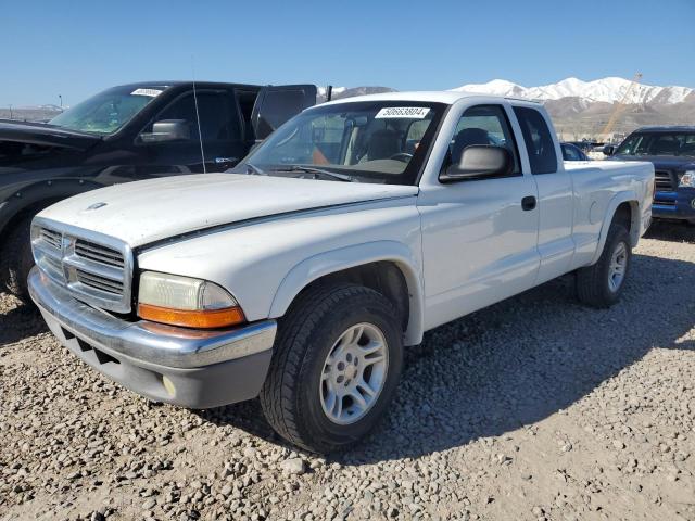 2003 DODGE DAKOTA SLT 2003 image