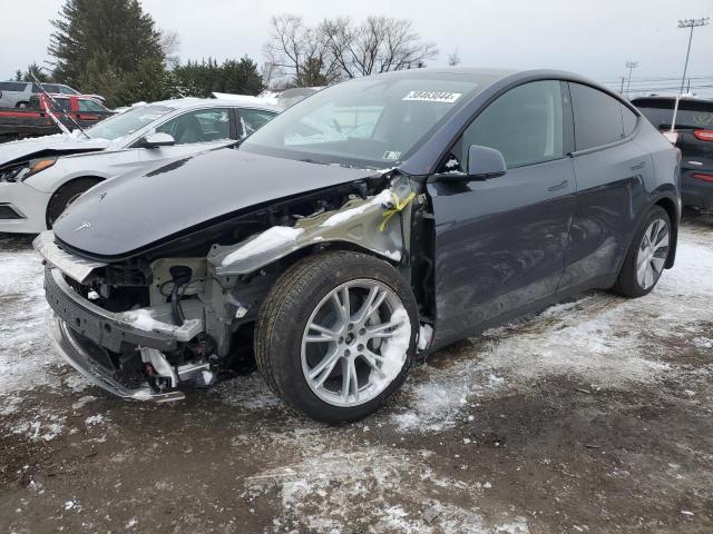 2023 TESLA MODEL Y  2023 image