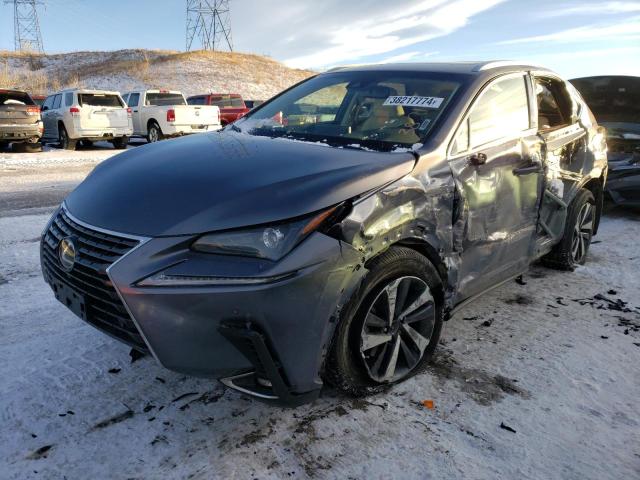 2019 LEXUS NX 300 BASE 2019 image