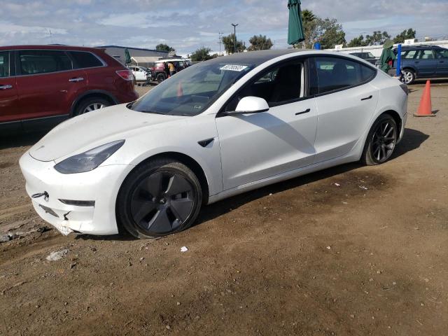 2023 TESLA MODEL 3  2023 image