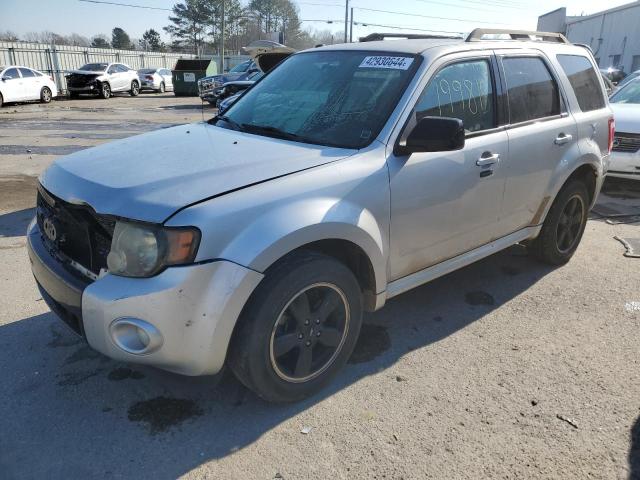 2010 FORD ESCAPE XLT 2010 image