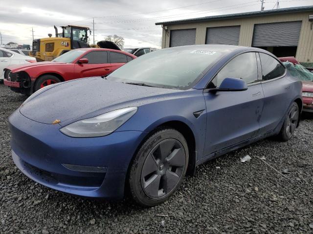 2023 TESLA MODEL 3  2023 image