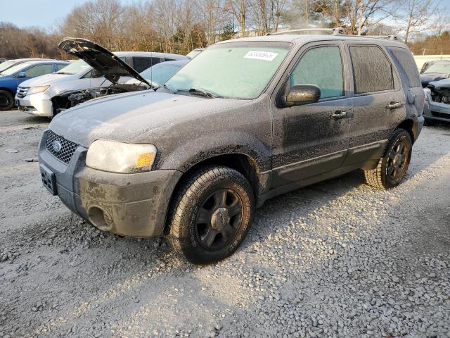 Image 1 of 2005 FORD ESCAPE XLS 2005 with VIN 1FMYU02Z65KC29695
