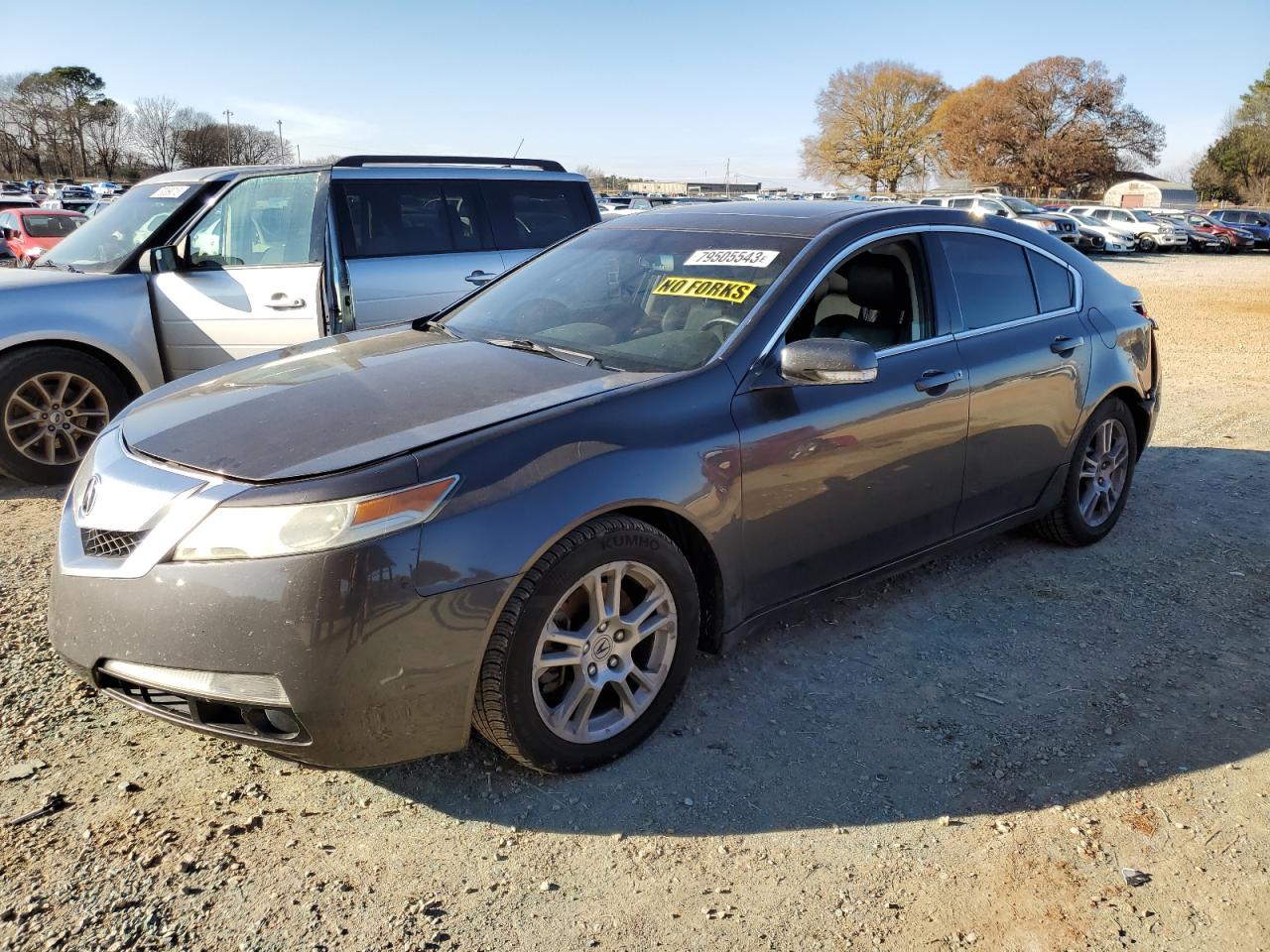 Obraz 2009 ACURA TL  2009