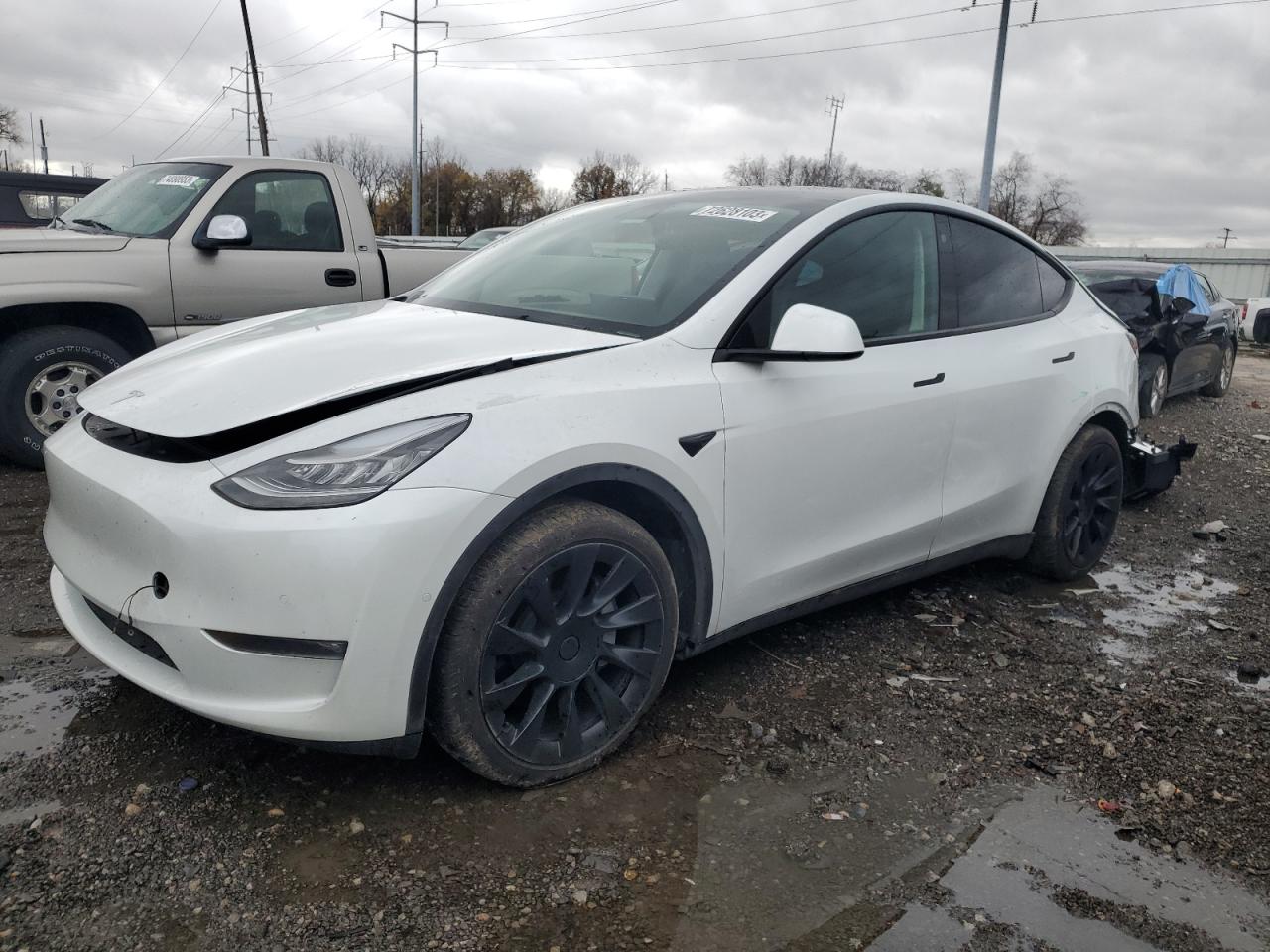 2021 TESLA MODEL Y  2021 image