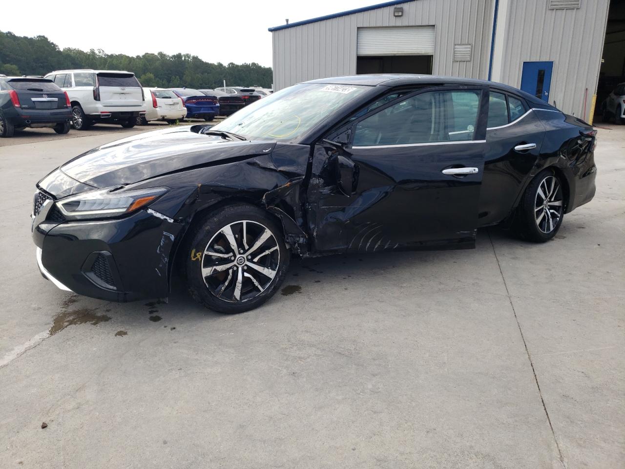 2022 NISSAN MAXIMA SV 2022 image