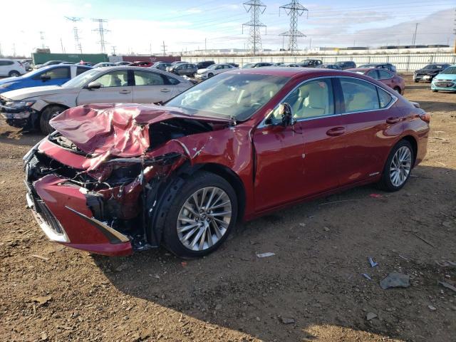 2022 LEXUS ES 300H BASE 2022 image