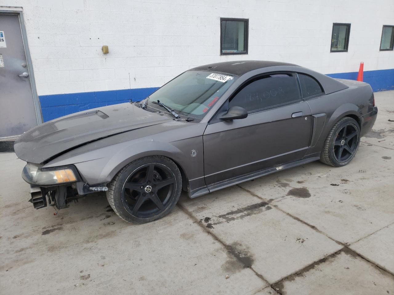 2004 FORD MUSTANG GT 2004 image