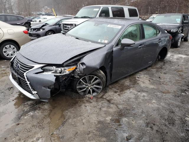 2017 LEXUS ES 300H 2017 image