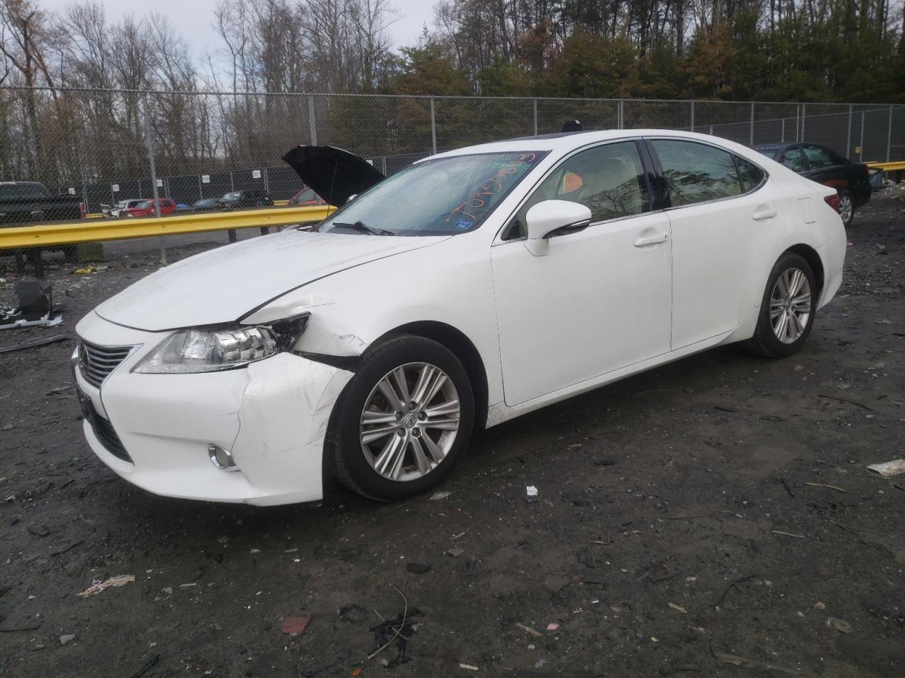 Obraz 2013 LEXUS ES 350 2013