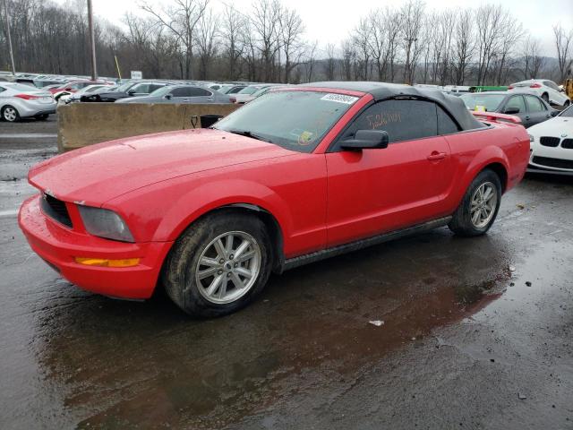 2006 FORD MUSTANG  2006 image