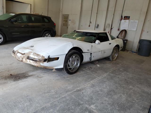 Изображение 1 1991 CHEVROLET CORVETTE  1991 с VIN 1G1YY2389M5104447