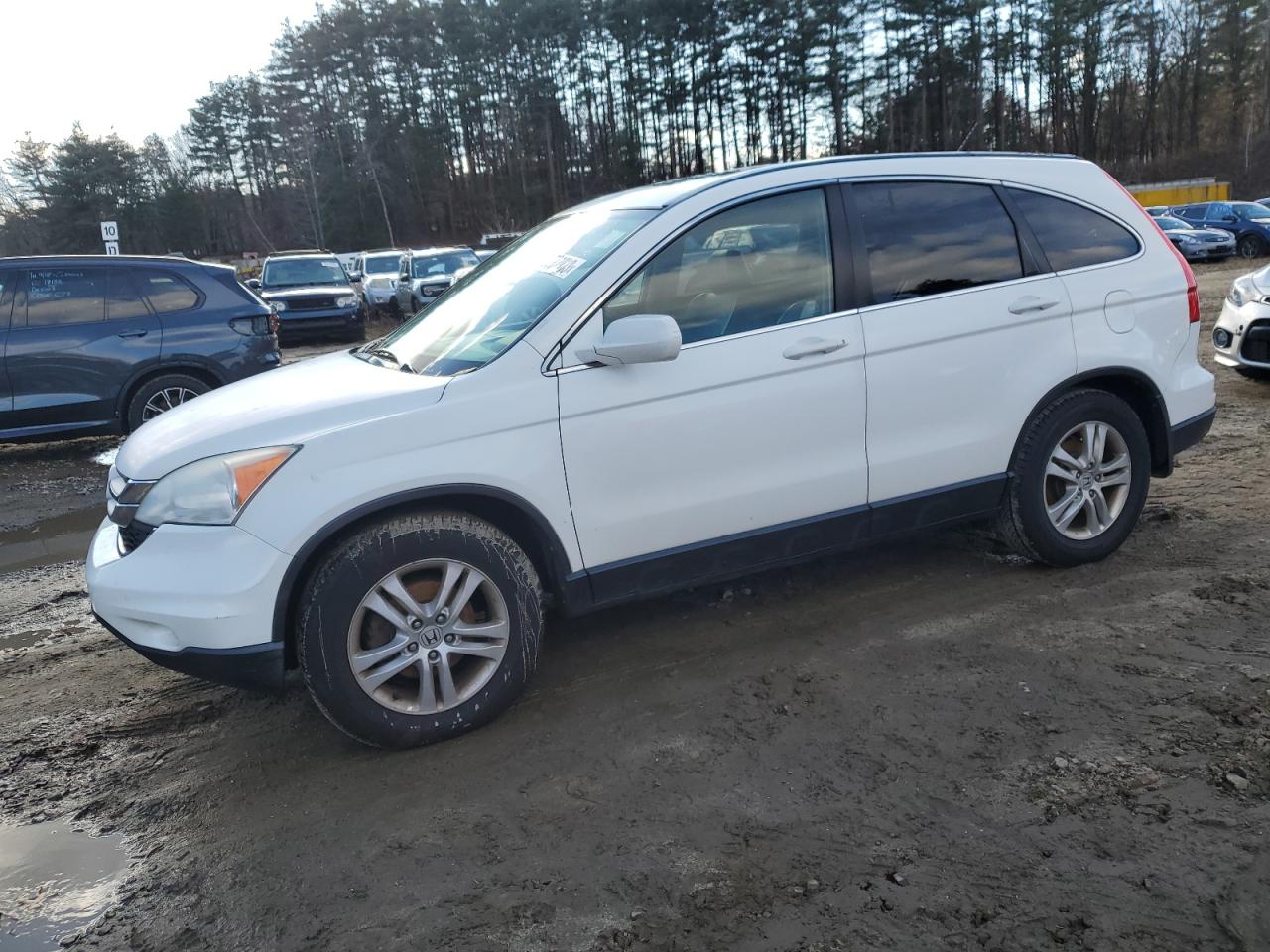 Obraz 2011 HONDA CR-V EXL 2011