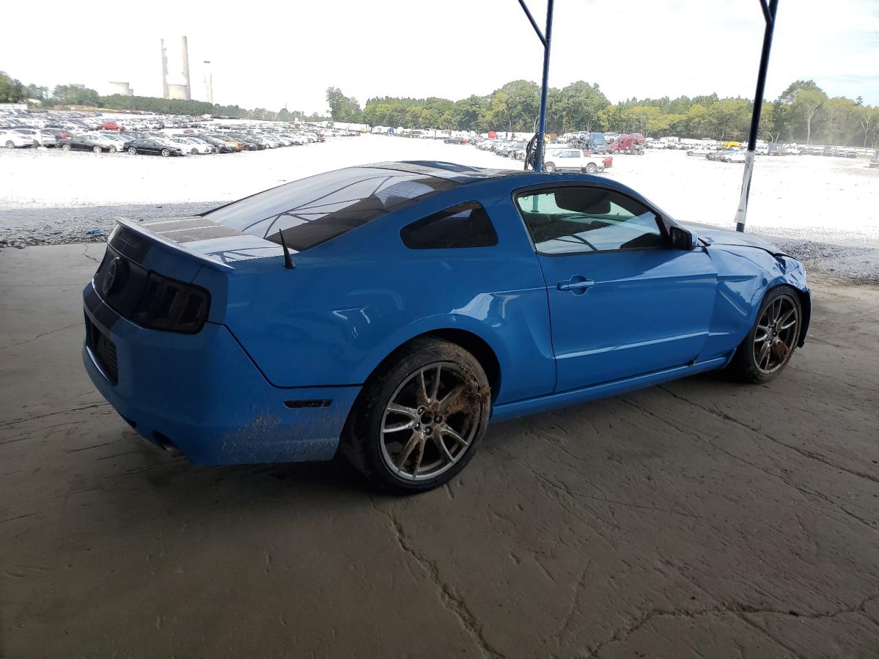 Obraz 3 z 2013 FORD MUSTANG  2013 z VIN 1ZVBP8AM7D5268666