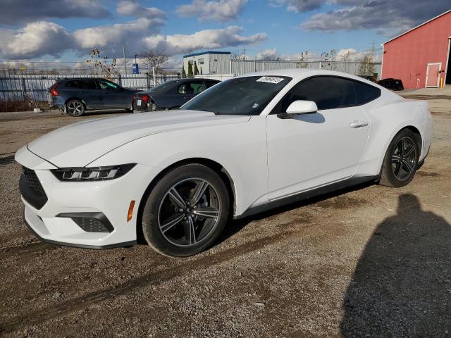 Изображение 2024 FORD MUSTANG  2024