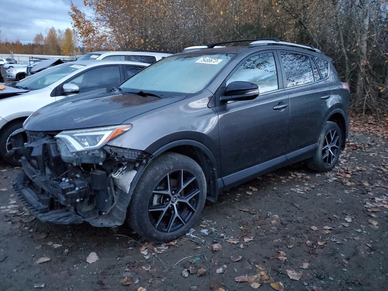 Изображение 2016 TOYOTA RAV4 SE 2016