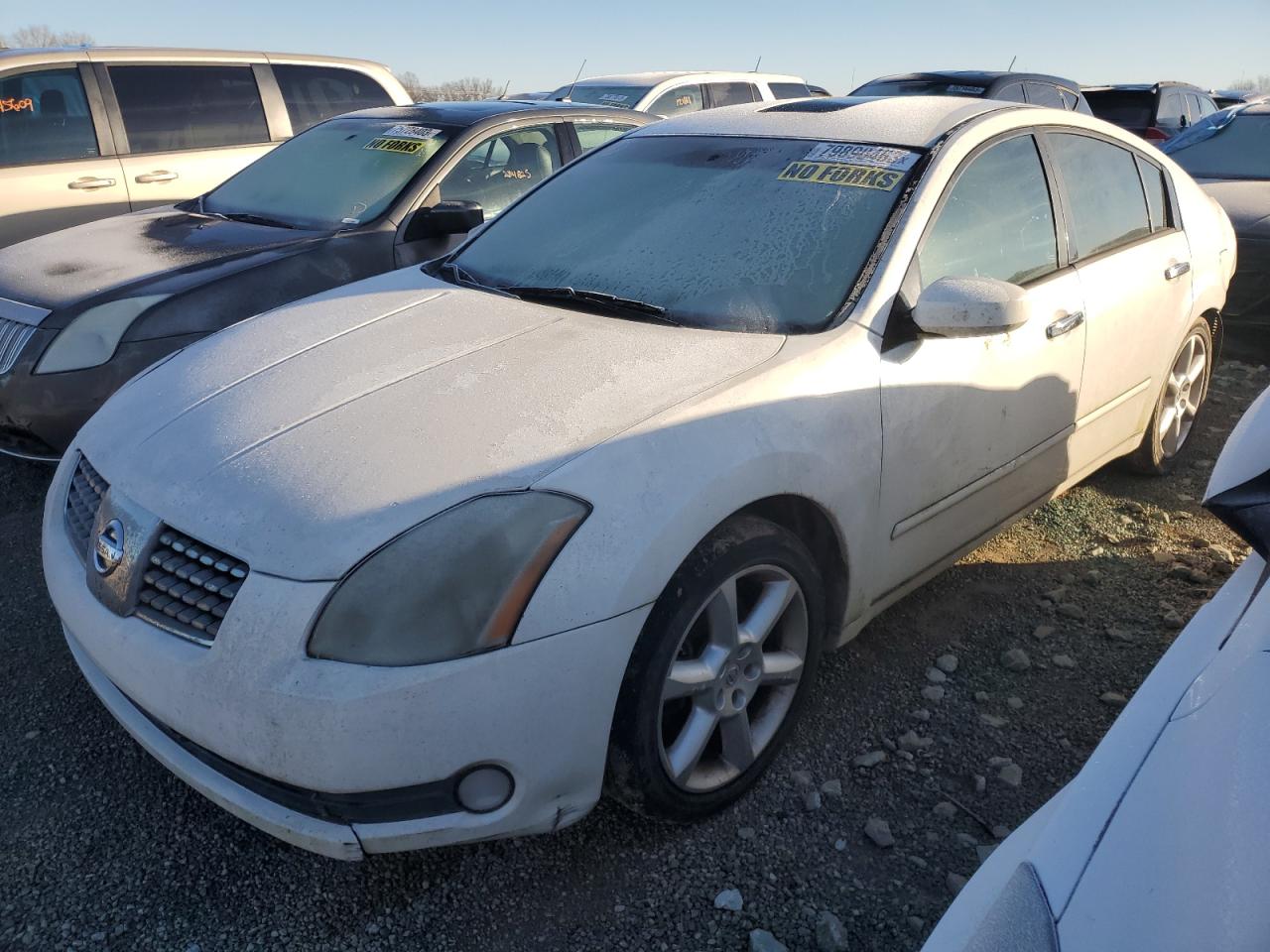 2006 NISSAN MAXIMA SE 2006 image