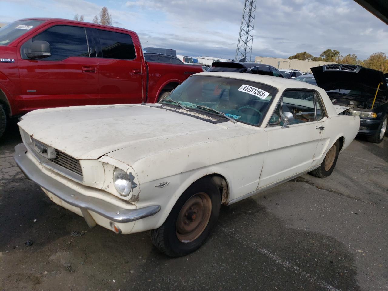 1966 FORD MUSTANG 1966 image