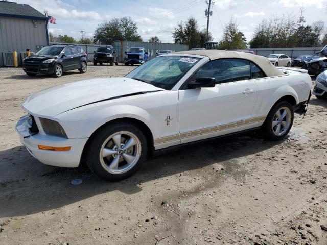 Image 1 of 2007 FORD MUSTANG  2007 with VIN 1ZVFT84N175269799