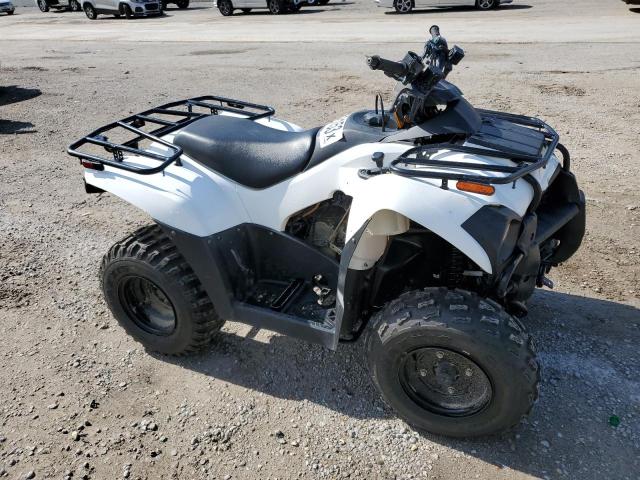 Изображение 2022 KAWASAKI KVF300 C 2022