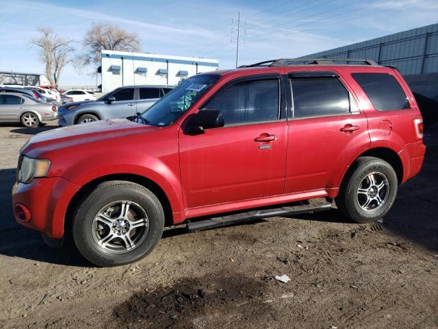 Obraz 2009 FORD ESCAPE XLT 2009