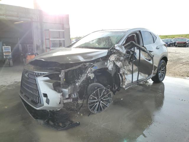 Obraz 2022 LEXUS NX 350 2022
