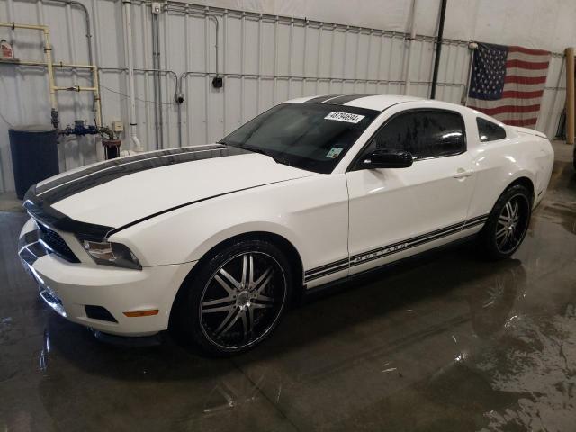 2012 FORD MUSTANG  2012 image