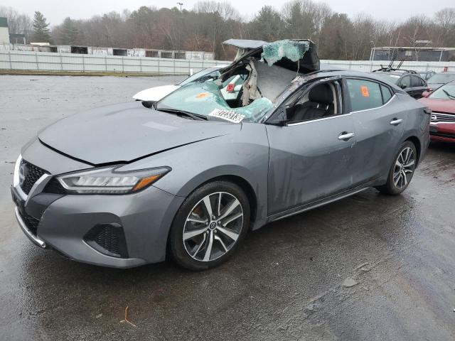 2023 NISSAN MAXIMA SV 2023 image