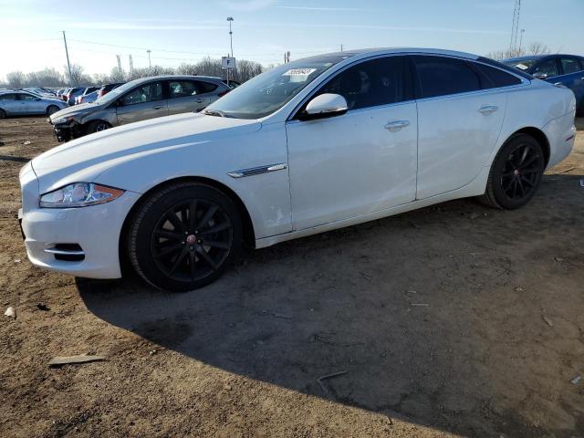 Obraz 2014 JAGUAR XJ  2014